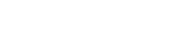 Saltz Michelson