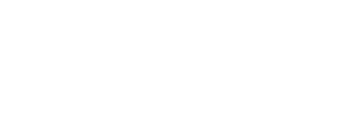 Saltz Michelson